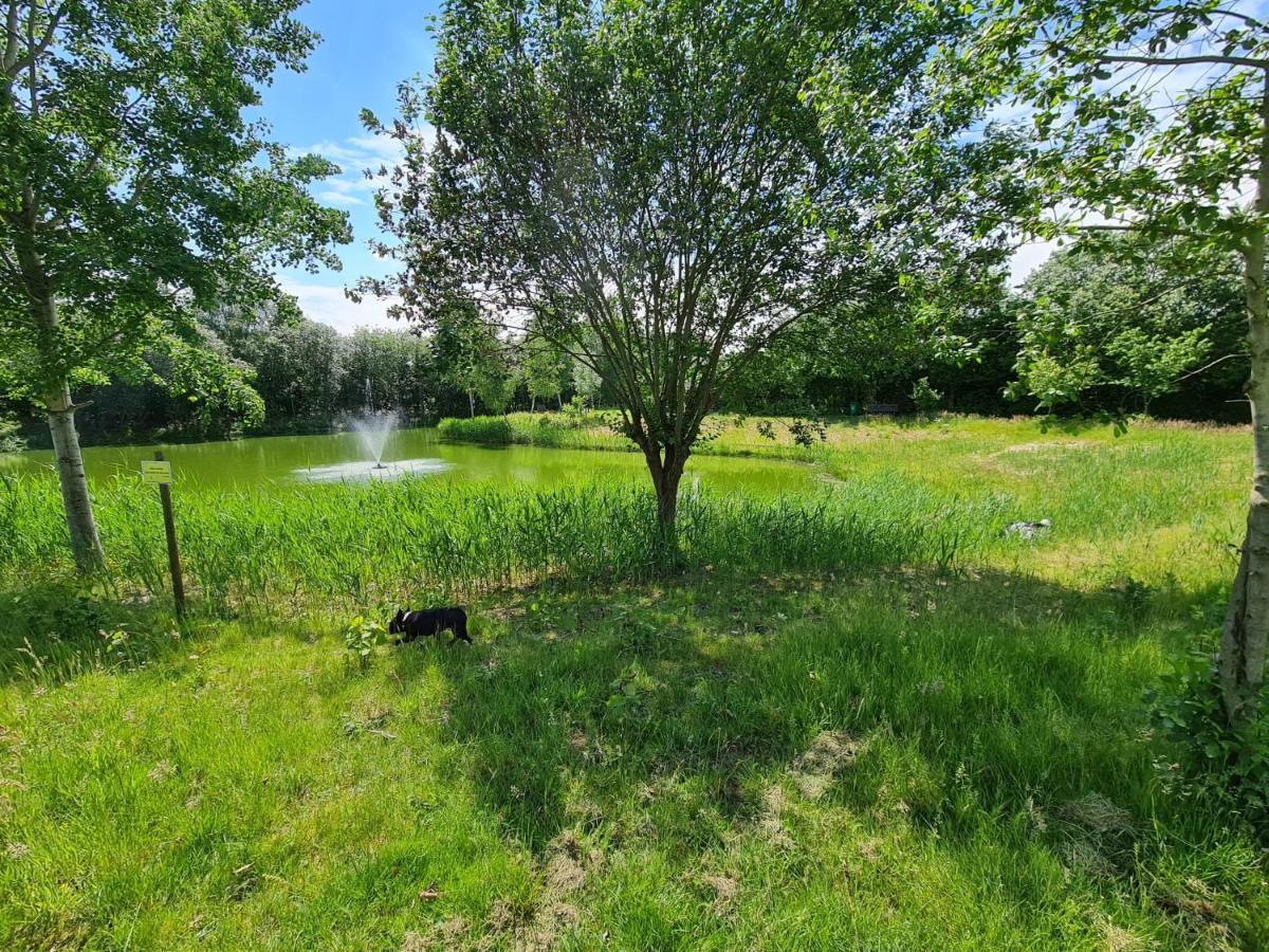 Lias Ferienhaus Geeste Bagian luar foto